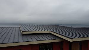 Best Rubber Roofing (EPDM, TPO)  in Shady Point, OK